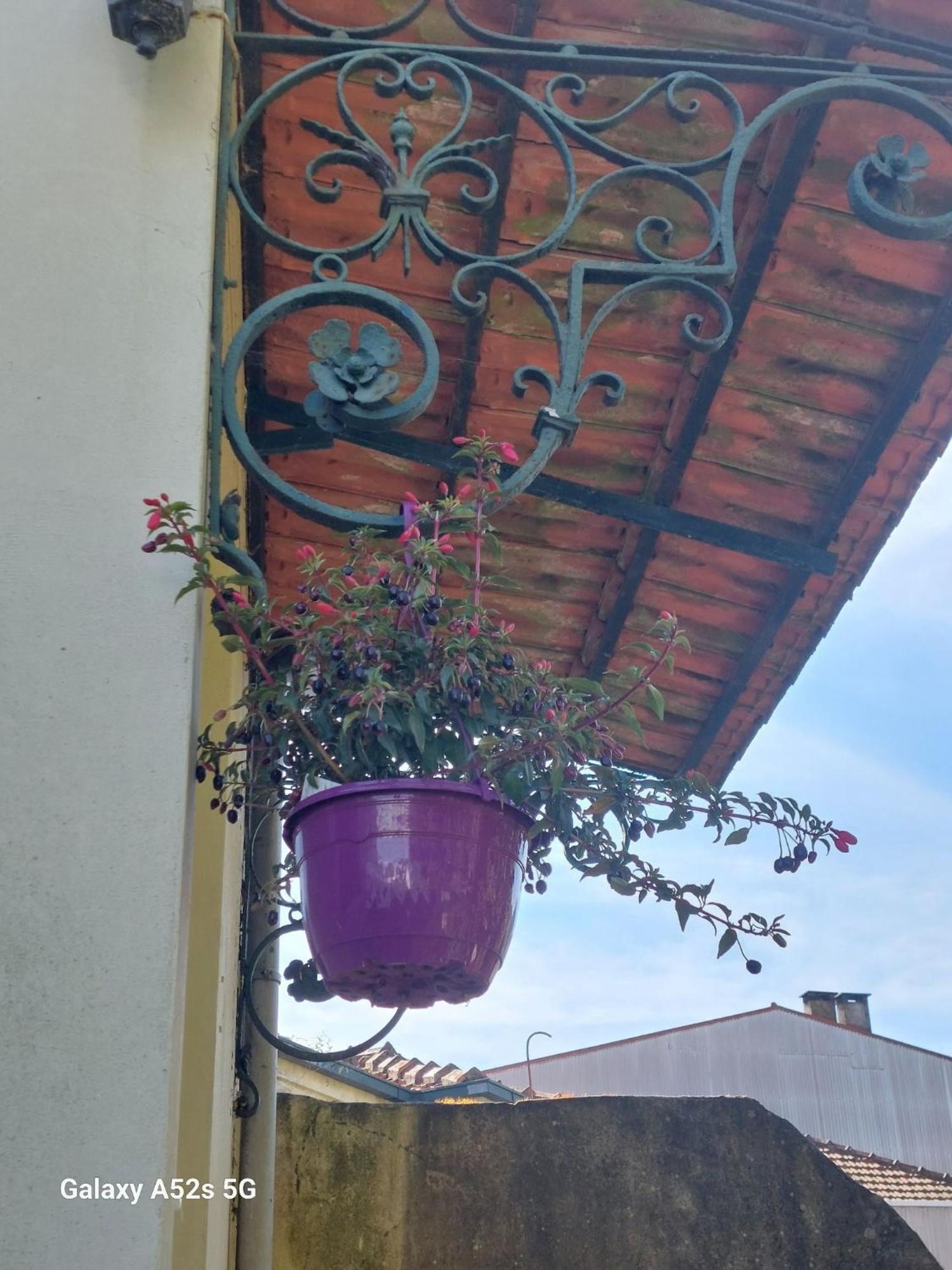 Casa Portugueza Experience Apartman Porto Kültér fotó