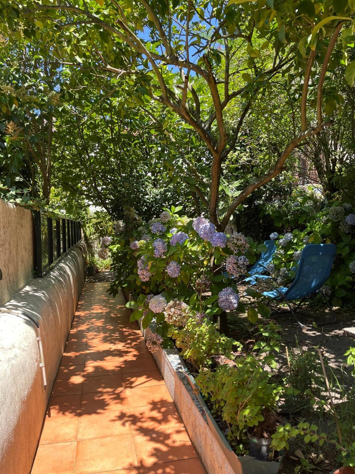 Casa Portugueza Experience Apartman Porto Kültér fotó
